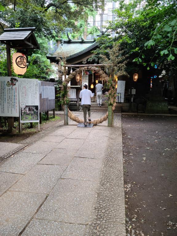 こんにちは…ちよこです｜写メ日記｜ちよこ｜新宿 人妻デリヘル 完熟ばなな 新宿