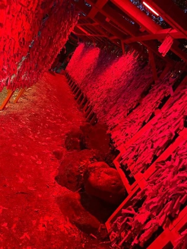 金沢👀✨｜写メ日記｜ひな｜新宿 人妻デリヘル 完熟ばなな 新宿