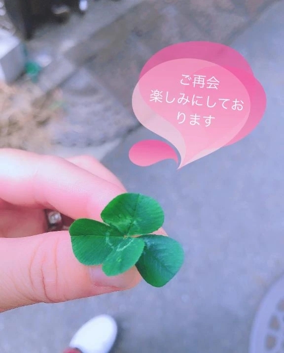 I will be back 🏠｜写メ日記｜ひな｜新宿 人妻デリヘル 完熟ばなな 新宿