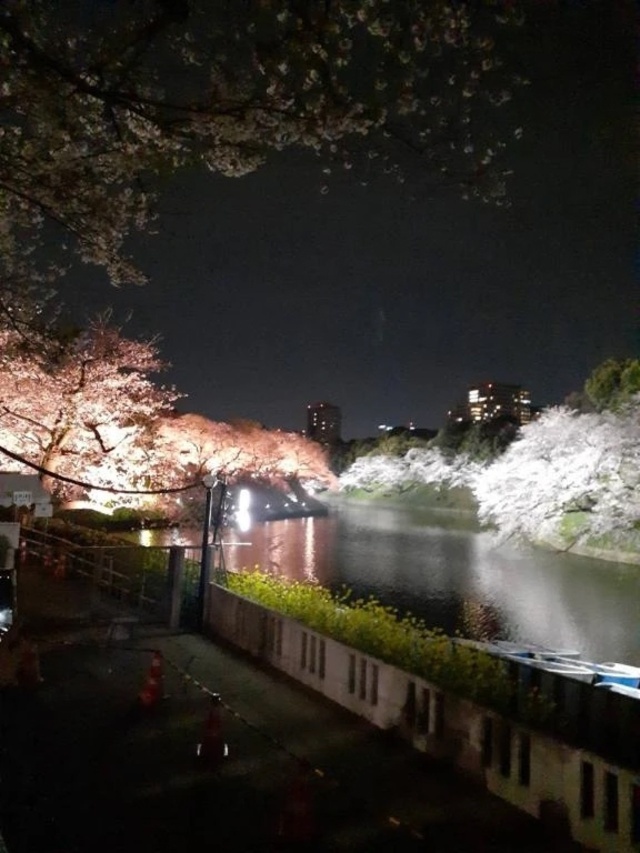 2月｜写メ日記｜まい｜新宿 人妻デリヘル 完熟ばなな 新宿