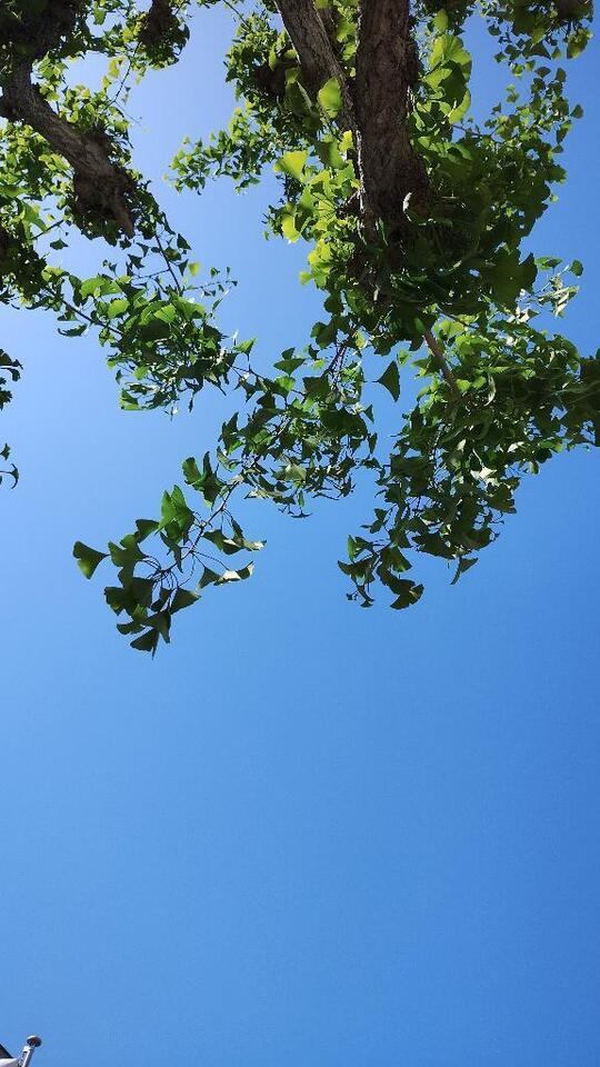 晴天☀A/F好きさんいるかなぁ？
