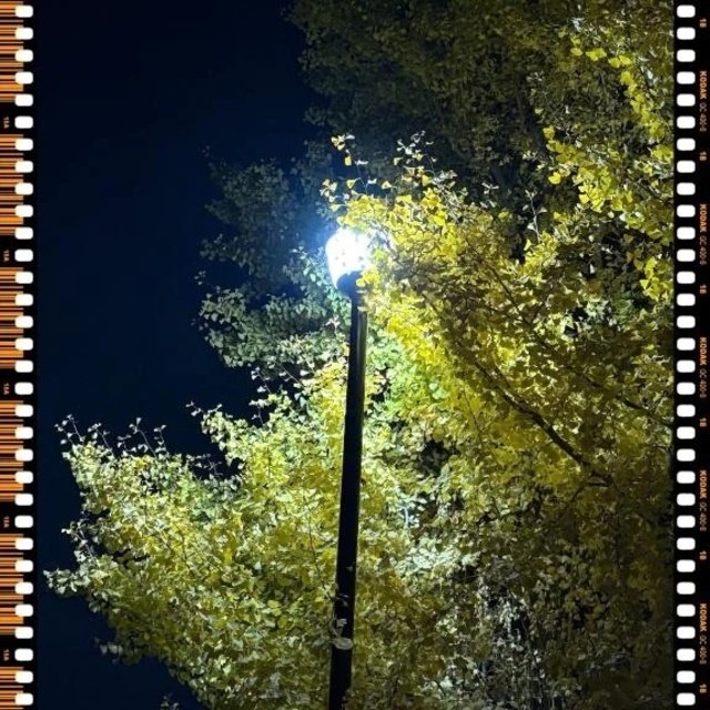 夜の｜写メ日記｜さつき｜新宿 人妻デリヘル 完熟ばなな 新宿