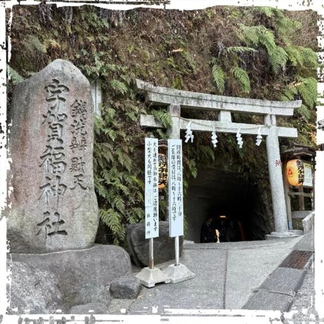 ウォーキング｜写メ日記｜さつき｜新宿 人妻デリヘル 完熟ばなな 新宿