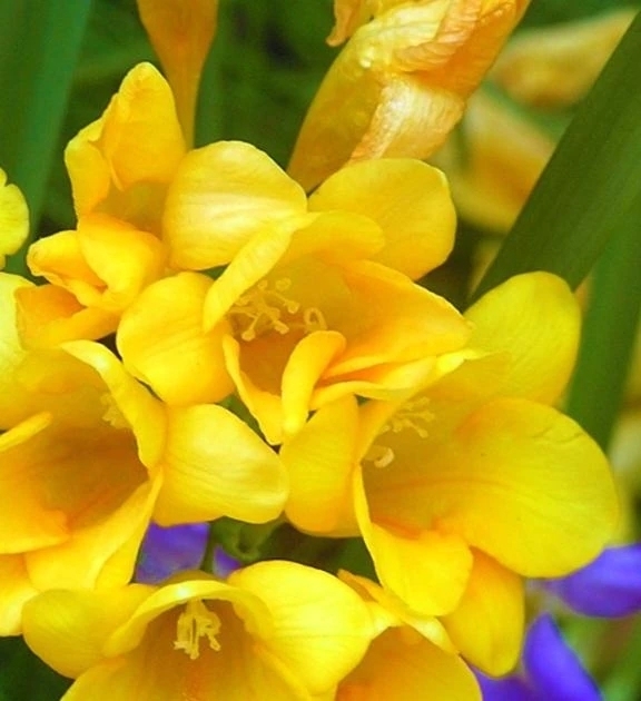 ありがとうございました❣️｜写メ日記｜さゆり｜新宿 人妻デリヘル 完熟ばなな 新宿