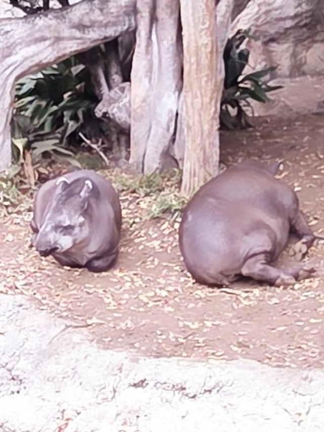 愛を込めて❣️みゆき