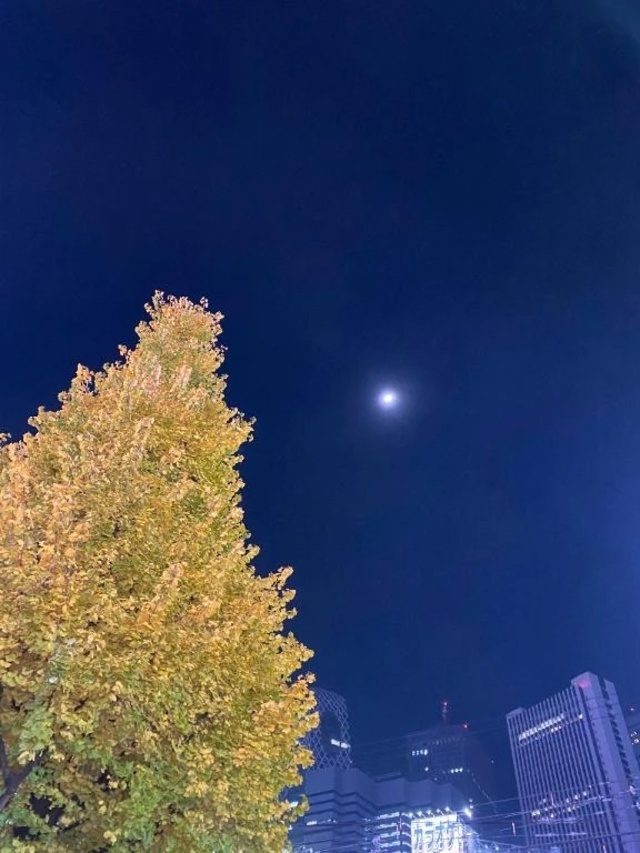 💌お礼日記💌｜写メ日記｜ちえ｜新宿 人妻デリヘル 完熟ばなな 新宿