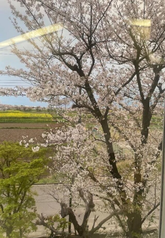 出勤しました！｜写メ日記｜みどり｜新宿 人妻デリヘル 完熟ばなな 新宿