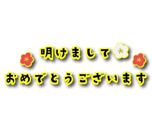 あけましておめでとうございます！✨｜写メ日記｜みはる｜新宿 人妻デリヘル 完熟ばなな 新宿