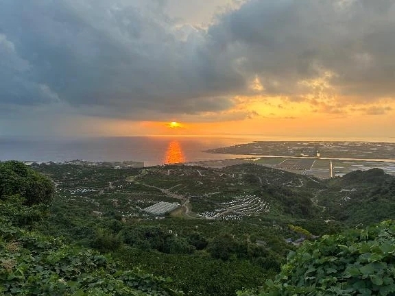 ライオンだって