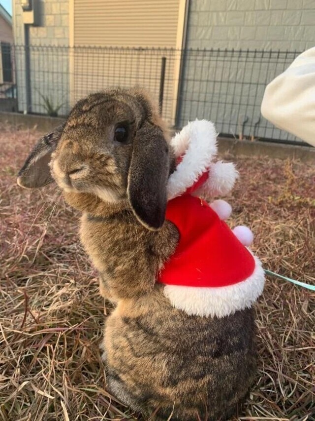 来てね｜写メ日記｜みつき｜新宿 人妻デリヘル 完熟ばなな 新宿