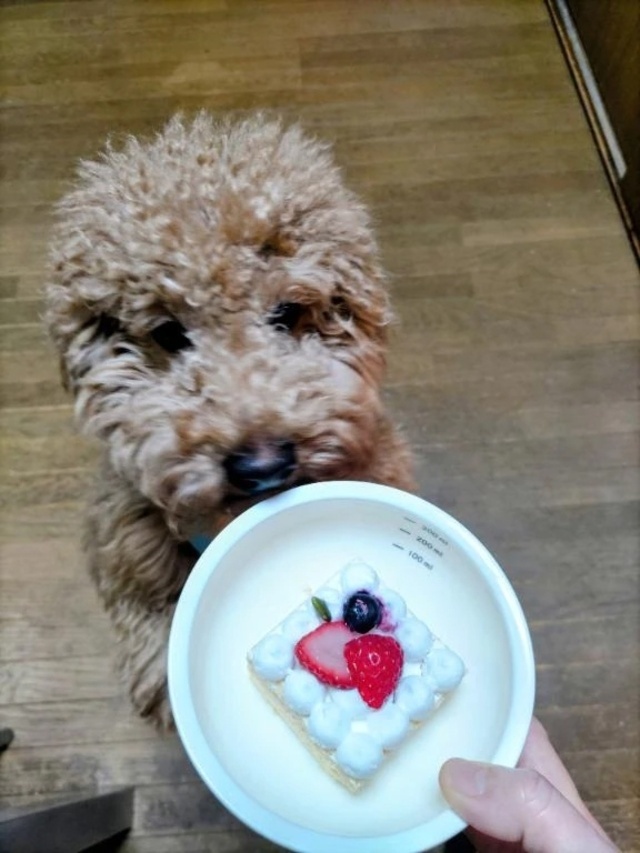 LINEのトーク履歴が全て消えました😱