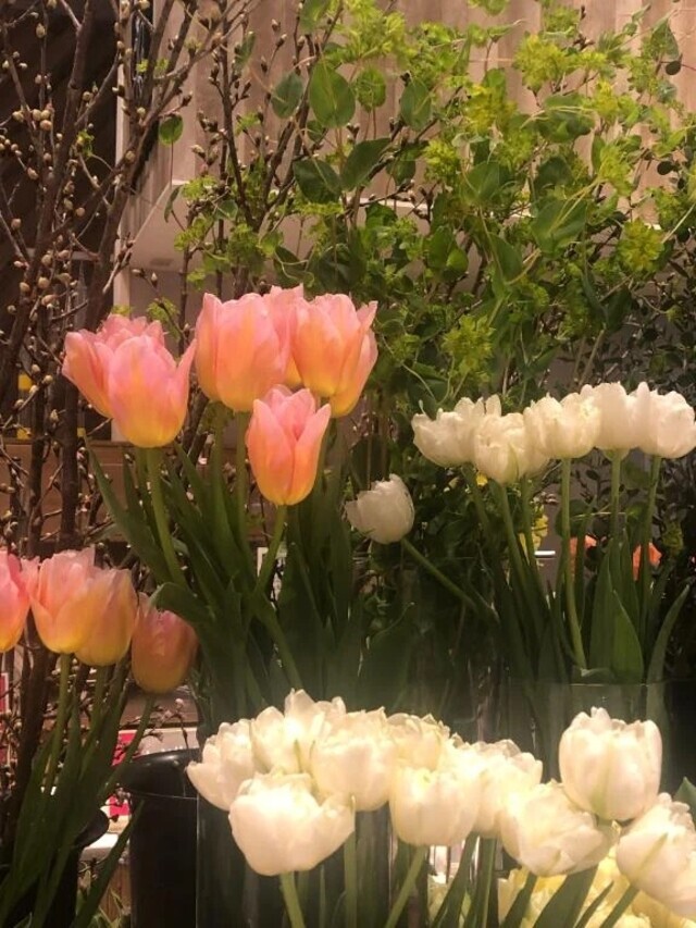 4月は…｜写メ日記｜ももか｜新宿 人妻デリヘル 完熟ばなな 新宿