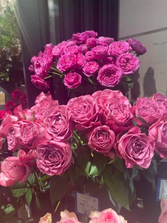 おやすみ💤｜写メ日記｜ももか｜新宿 人妻デリヘル 完熟ばなな 新宿