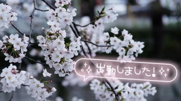 初日のしずかです❤️｜写メ日記｜しずか｜新宿 人妻デリヘル 完熟ばなな 新宿