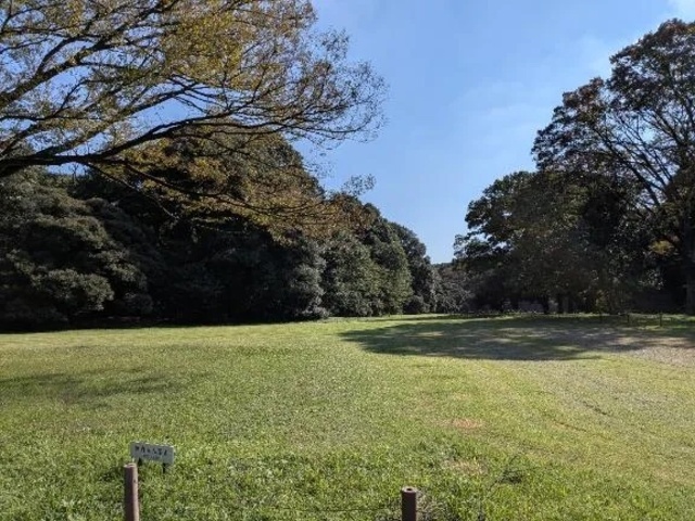 おはよう〜｜写メ日記｜かれん｜新宿 人妻デリヘル 完熟ばなな 新宿