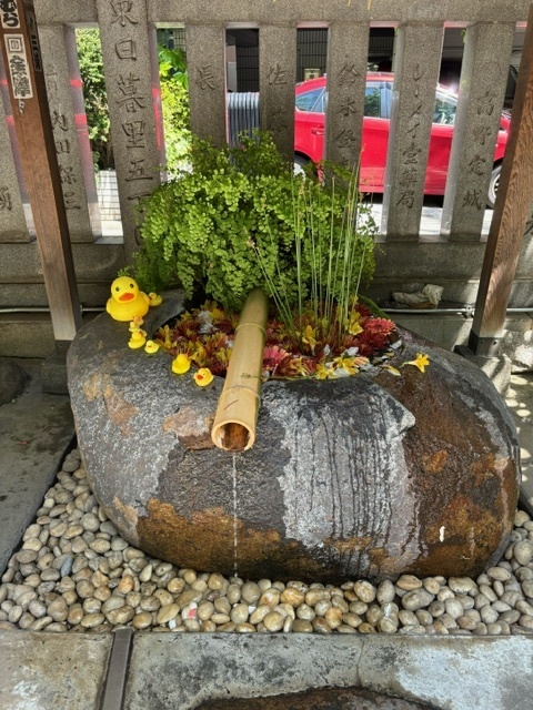 5月🎏も宜しくお願い致します😊