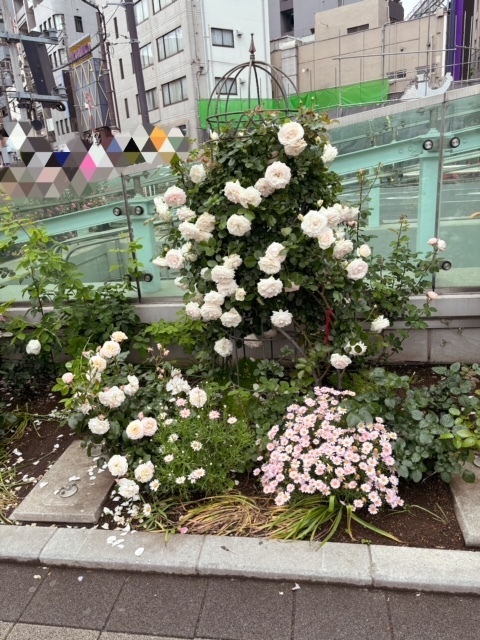 ✨18(日)のお礼✨