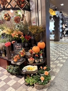 ✨20(月)のお礼✨｜写メ日記｜麻生｜鶯谷 人妻デリヘル ＭＣロイヤル