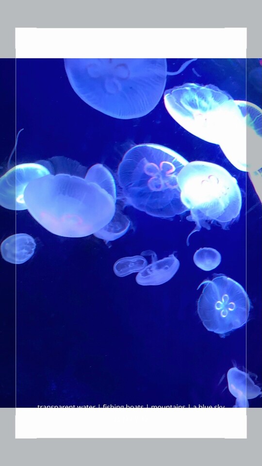 今週！｜写メ日記｜名倉｜鶯谷 人妻デリヘル ＭＣロイヤル