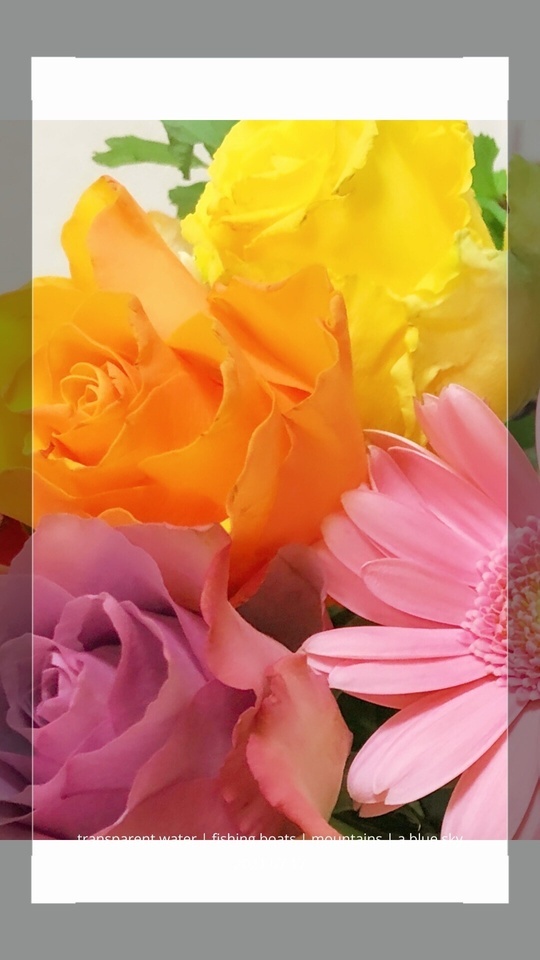 こんにちは｜写メ日記｜名倉｜鶯谷 人妻デリヘル ＭＣロイヤル