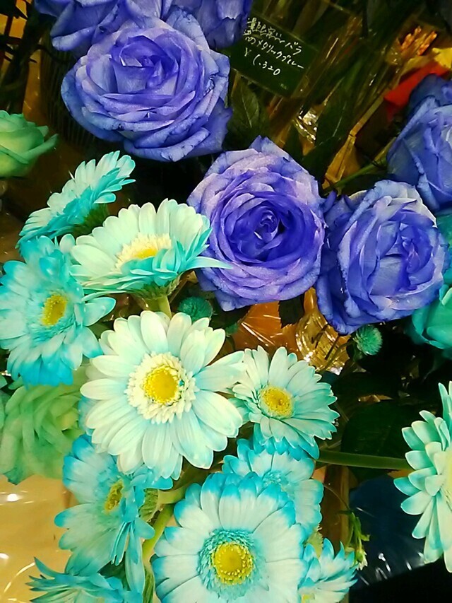 💌本日のお礼💌｜写メ日記｜笹木｜鶯谷 人妻デリヘル ＭＣロイヤル