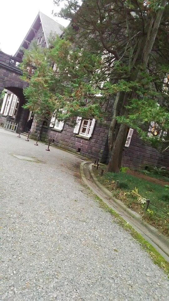 💌こんにちわ💌｜写メ日記｜笹木｜鶯谷 人妻デリヘル ＭＣロイヤル