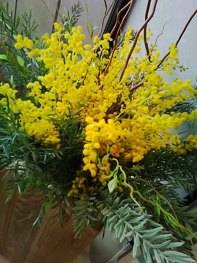 💌季節の💌｜写メ日記｜笹木｜鶯谷 人妻デリヘル ＭＣロイヤル