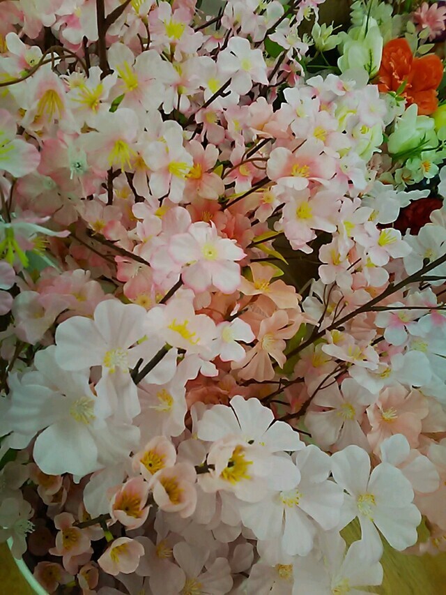 ❣️季節の❣️