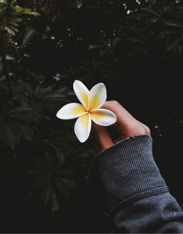 いつもありがとうございます｜写メ日記｜真澄｜鶯谷 人妻デリヘル ＭＣロイヤル