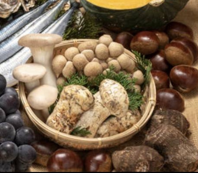 秋の食べ物｜写メ日記｜真澄｜鶯谷 人妻デリヘル ＭＣロイヤル