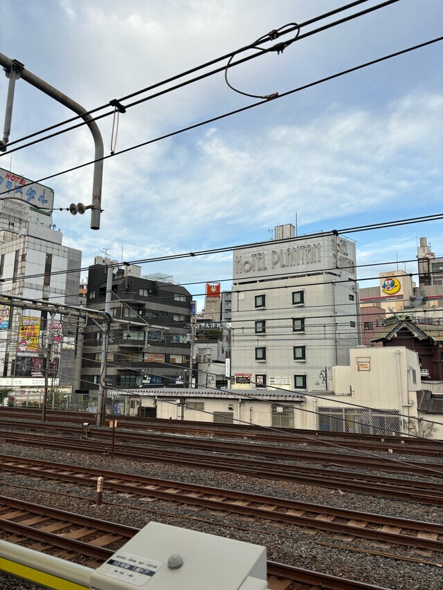 今年も。。｜写メ日記｜真澄｜鶯谷 人妻デリヘル ＭＣロイヤル