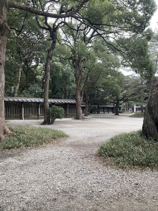志摩ちゃんの休日♪|写メ日記|志摩|鶯谷 人妻デリヘル MCロイヤル