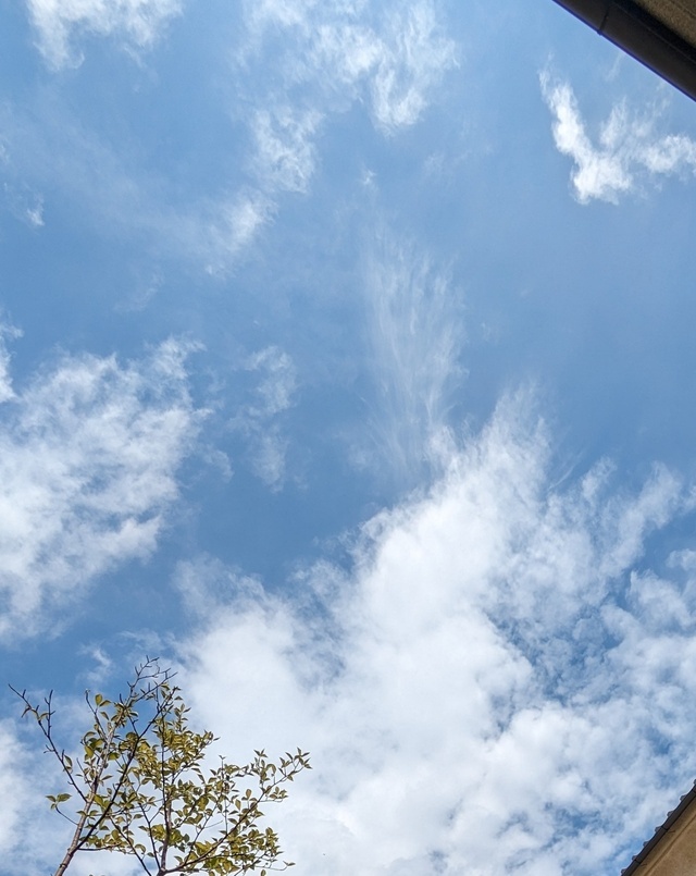 そんな時もある｜写メ日記｜舞｜鶯谷 人妻デリヘル ＭＣロイヤル