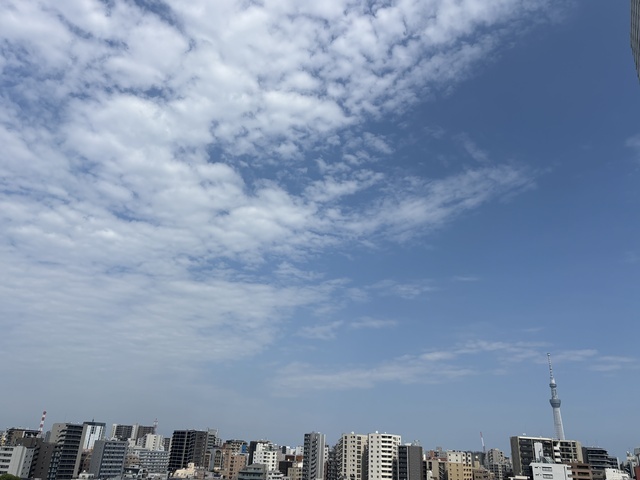 コトです｜写メ日記｜古都｜鶯谷 人妻デリヘル ＭＣロイヤル