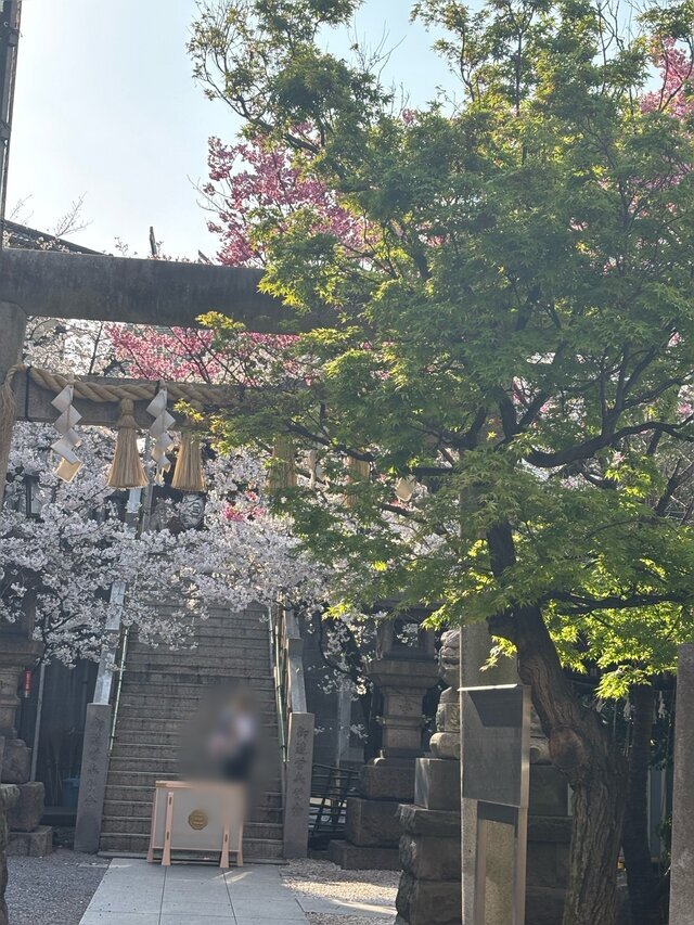 3月のお礼💌