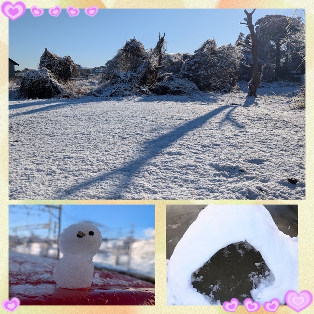 こんばんは☺️