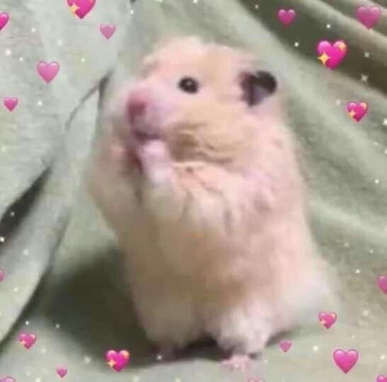 今月の出勤予定｜写メ日記｜まどか｜上野・浅草・秋葉原 一般デリヘル ぷるりんクエスト 上野浅草鶯谷秋葉原デリヘル王国