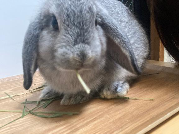 出勤ʕʔ｜写メ日記｜ななか｜上野・浅草・秋葉原 一般デリヘル ぷるりんクエスト 上野浅草鶯谷秋葉原デリヘル王国