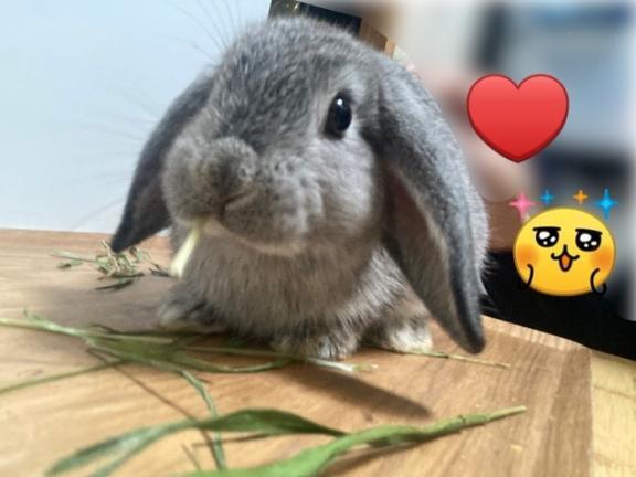 ありがとうー！｜写メ日記｜ななか｜上野・浅草・秋葉原 一般デリヘル ぷるりんクエスト 上野浅草鶯谷秋葉原デリヘル王国