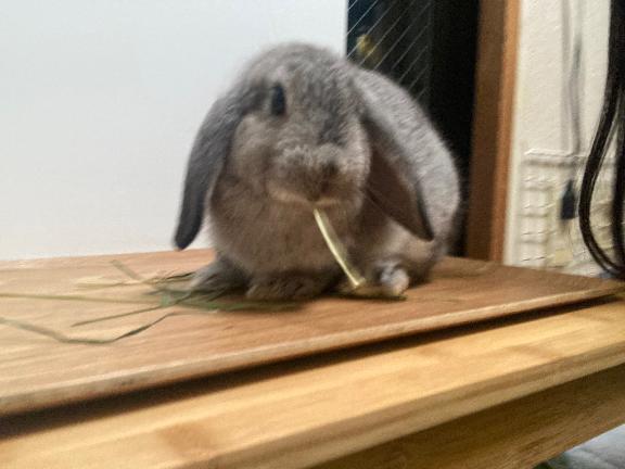 出勤ですʕʔ｜写メ日記｜ななか｜上野・浅草・秋葉原 一般デリヘル ぷるりんクエスト 上野浅草鶯谷秋葉原デリヘル王国