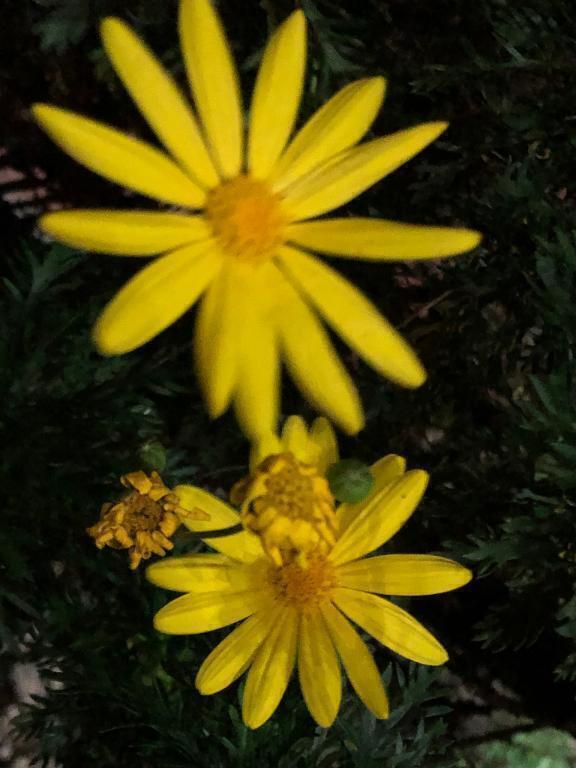 (っ&amp;#039;-&amp;#039;)╮ =｜写メ日記｜あん｜上野・浅草・秋葉原 一般デリヘル ぷるりんクエスト 上野浅草鶯谷秋葉原デリヘル王国