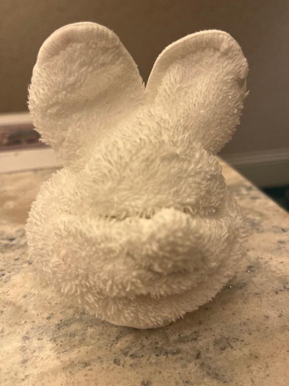 出勤しました｜写メ日記｜りいな｜上野・浅草・秋葉原 一般デリヘル ぷるりんクエスト 上野浅草鶯谷秋葉原デリヘル王国