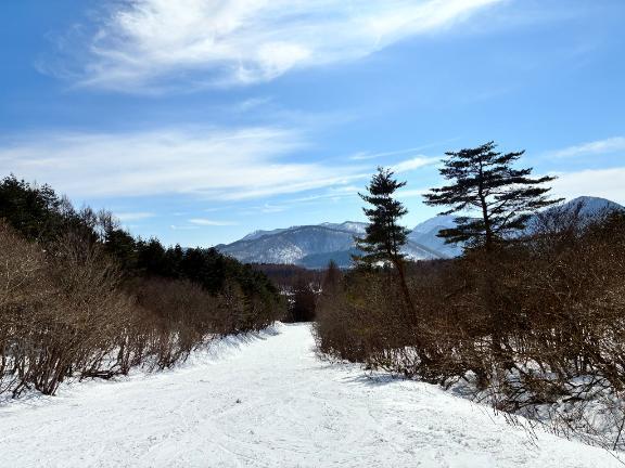 ご予約ありがとうございます！｜写メ日記｜りいな｜上野・浅草・秋葉原 一般デリヘル ぷるりんクエスト 上野浅草鶯谷秋葉原デリヘル王国