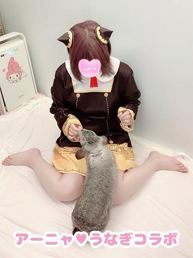 ぴーなっつ｜写メ日記｜あーにゃ｜上野・浅草・秋葉原 一般デリヘル ぷるりんクエスト 上野浅草鶯谷秋葉原デリヘル王国