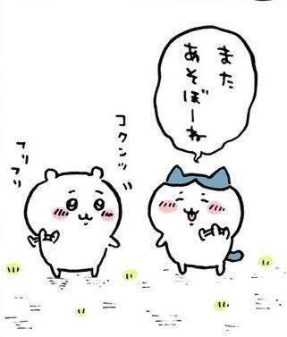 BariBari  O様