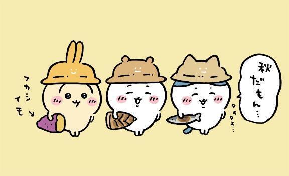 今日は12:00～3:00です