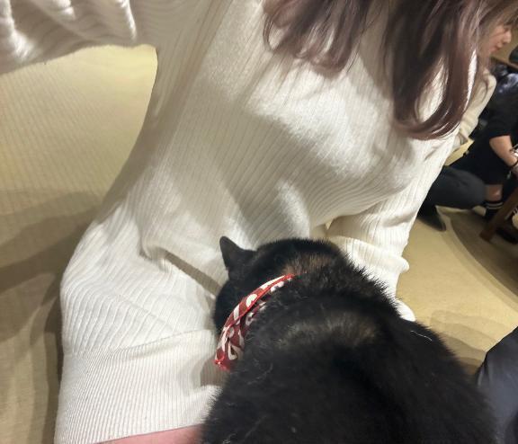 満員御礼｜写メ日記｜さくら｜上野・浅草・秋葉原 一般デリヘル ぷるりんクエスト 上野浅草鶯谷秋葉原デリヘル王国
