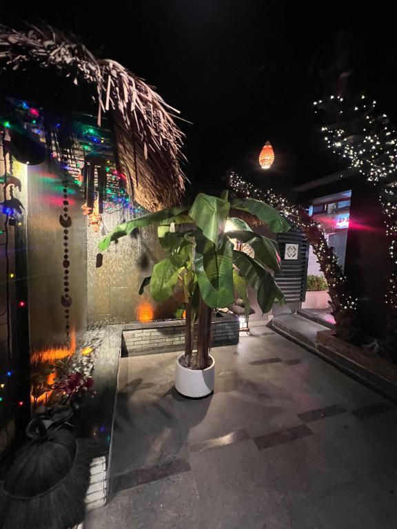 はじめまして M様｜写メ日記｜めい｜上野・浅草・秋葉原 一般デリヘル ぷるりんクエスト 上野浅草鶯谷秋葉原デリヘル王国