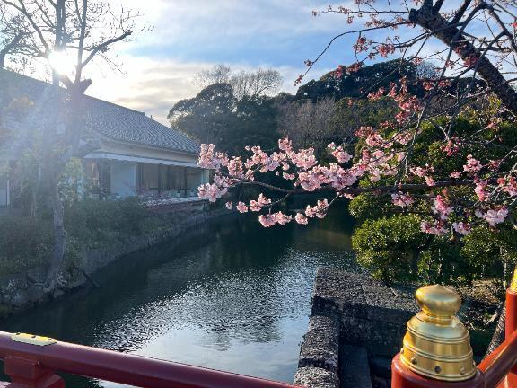 みんなありがとう（ ;  ; ）｜写メ日記｜めい｜上野・浅草・秋葉原 一般デリヘル ぷるりんクエスト 上野浅草鶯谷秋葉原デリヘル王国