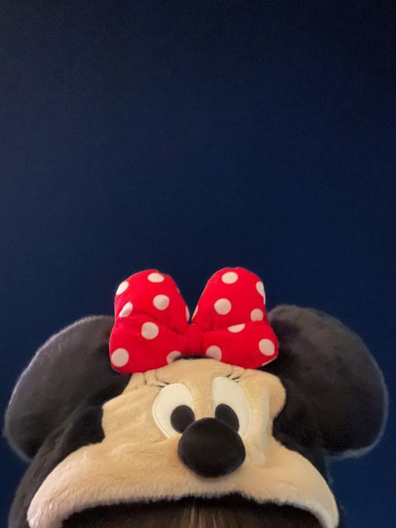 今日はごめんね、、｜写メ日記｜めい｜上野・浅草・秋葉原 一般デリヘル ぷるりんクエスト 上野浅草鶯谷秋葉原デリヘル王国